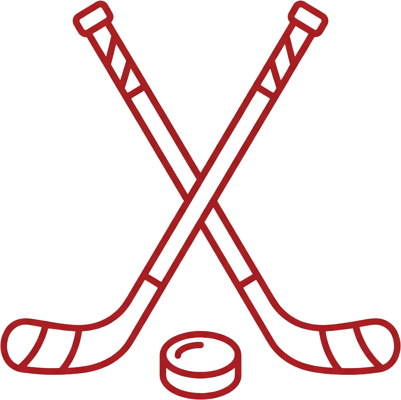 Hockey Equipment icon